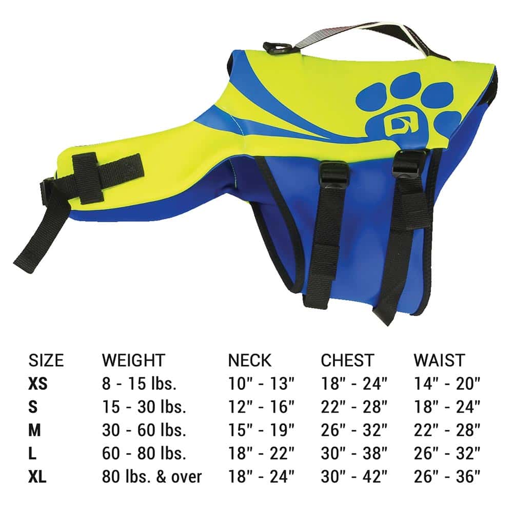 2021-OBrien-Vests_0021_2021 pet vest